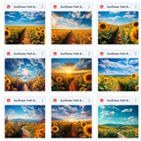 Ultimate Sunflower Path Background Bundle