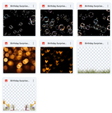 Meg's Birthday Surprise Bundle