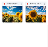 Ultimate Sunflower Path Background Bundle