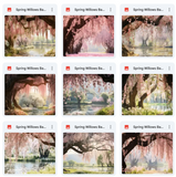 Ultimate Spring Willows Background Bundle