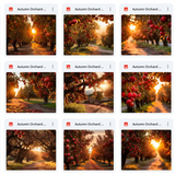 Ultimate Autumn Orchard Background Bundle