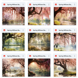 Ultimate Spring Willows Background Bundle