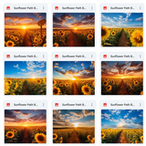 Ultimate Sunflower Path Background Bundle