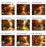 Ultimate Autumn Orchard Background Bundle