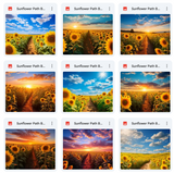 Ultimate Sunflower Path Background Bundle