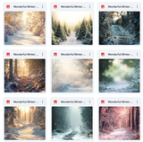 Ultimate Wonderful Winter Path Background Bundle
