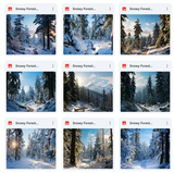 Ultimate Snowy Forest Background Bundle