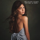 Fine Art Studio Action Collection