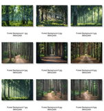 Pop Princess Backgrounds & Overlays Asset Pack