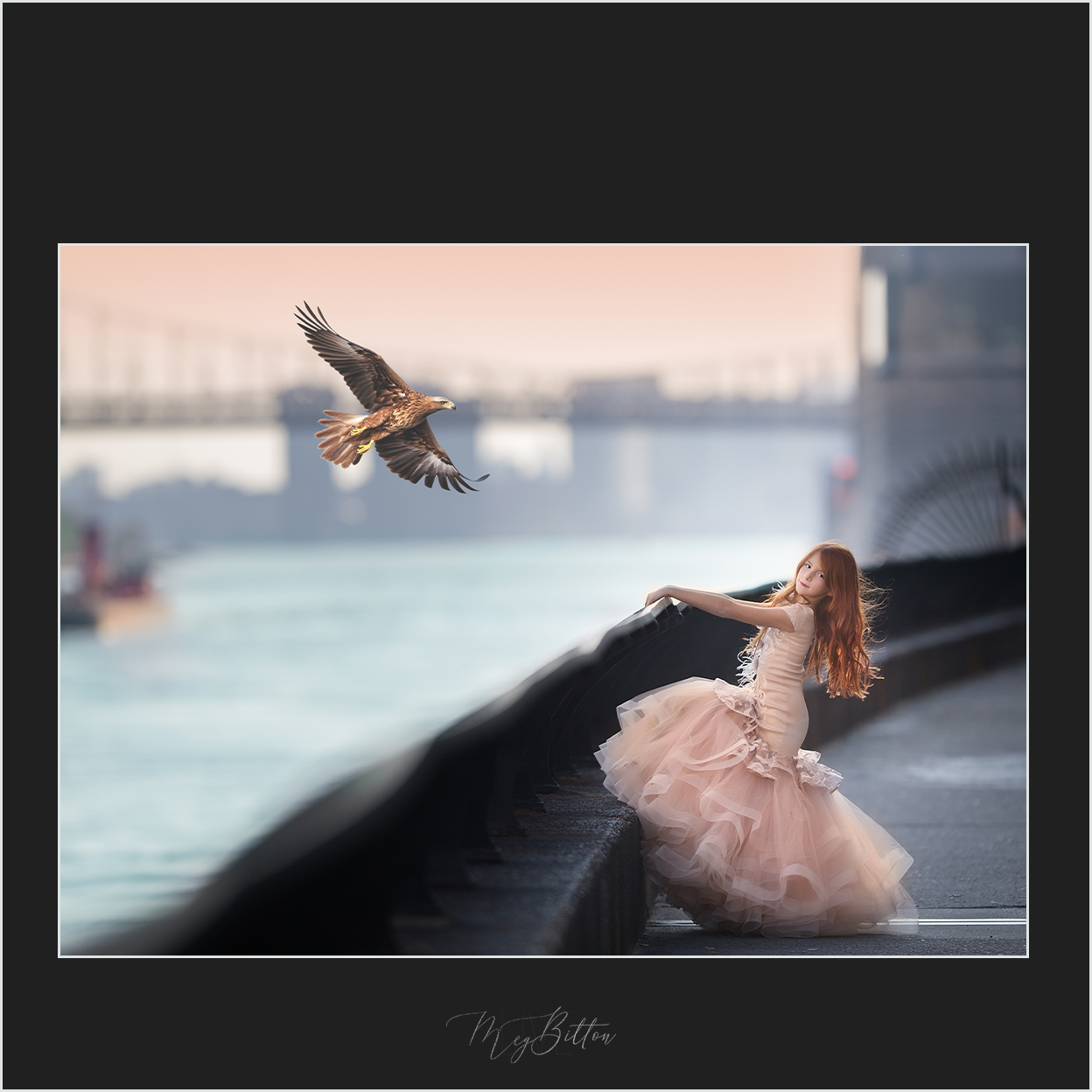 Magical Digital Overlay: Eagles - Meg Bitton Productions