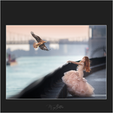 Magical Digital Overlay: Eagles - Meg Bitton Productions