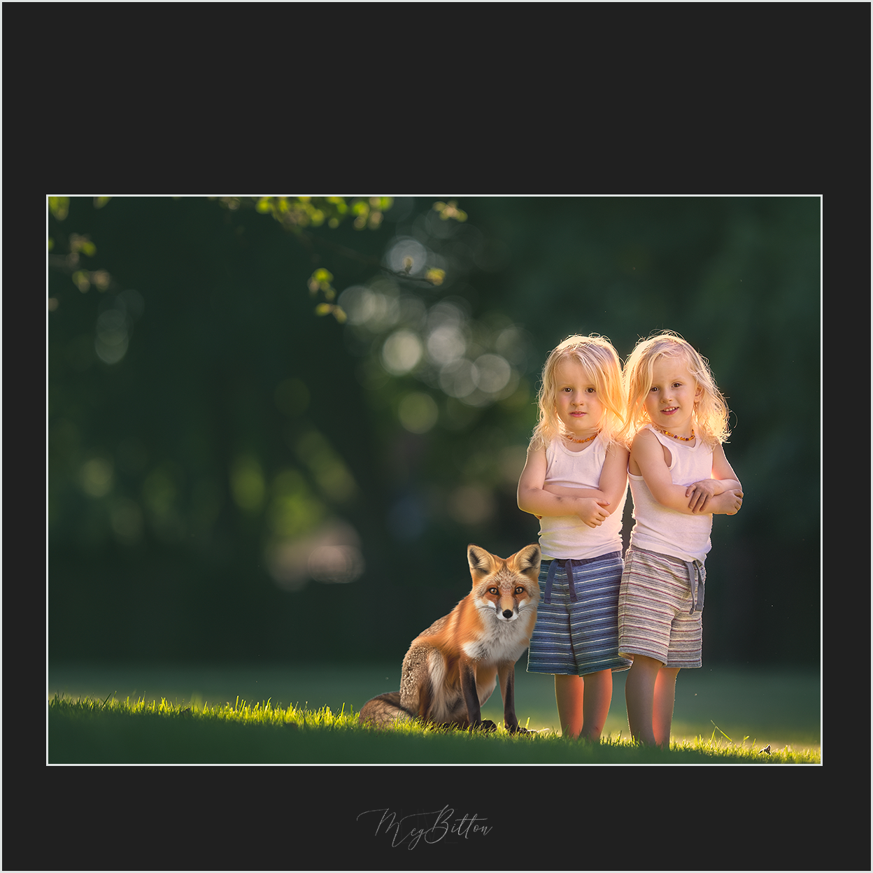 Magical Digital Overlays: Red Foxes - Meg Bitton Productions