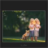 Magical Digital Overlays: Red Foxes - Meg Bitton Productions