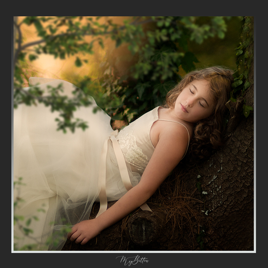 Magical Shoot Through - Forest Tree Frame - Meg Bitton Productions
