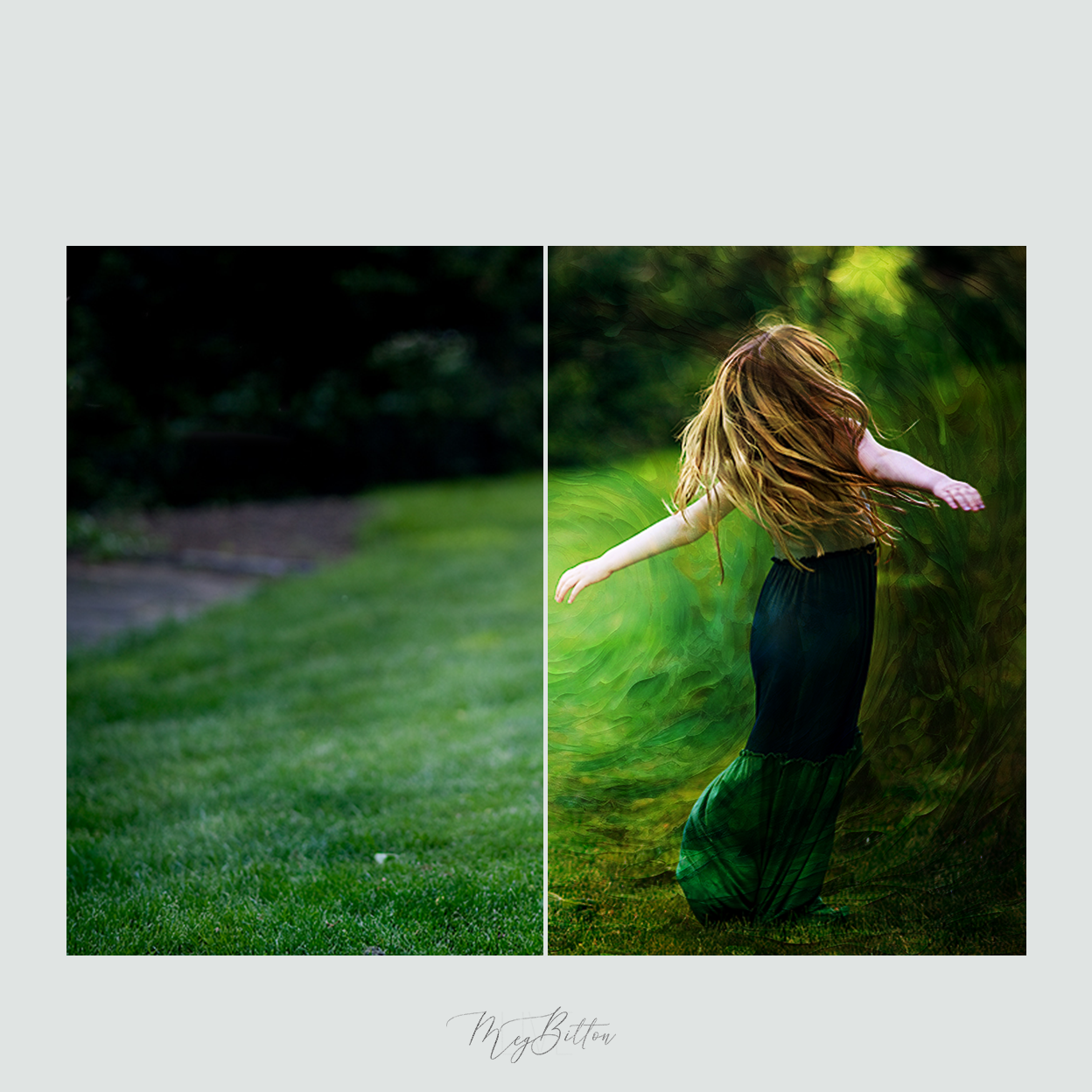 Magical Fine Art Forest Textures - Meg Bitton Productions