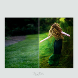 Magical Fine Art Forest Textures - Meg Bitton Productions