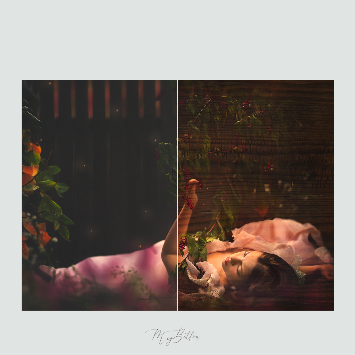 Magical Wood Grain Textures - Meg Bitton Productions