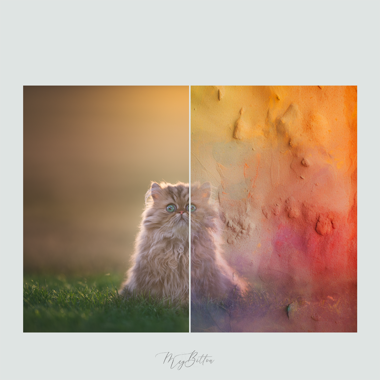 Magical Rainbow Stucco Textures - Meg Bitton Productions