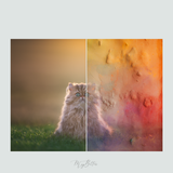 Magical Rainbow Stucco Textures - Meg Bitton Productions