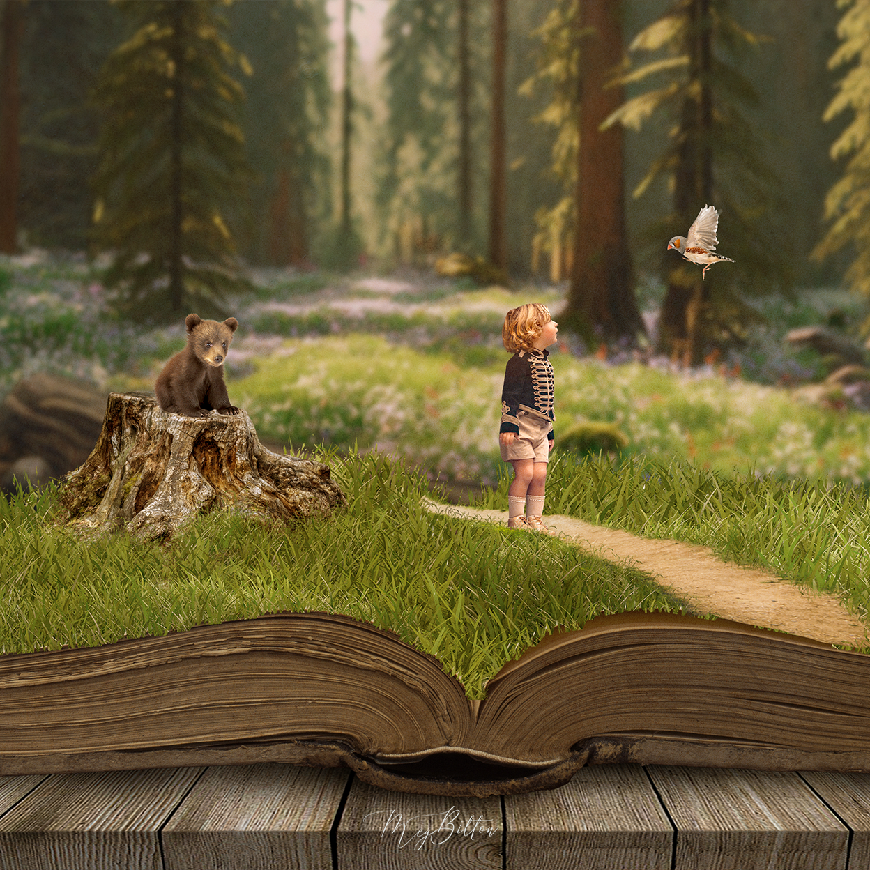 Summer Adventures Pop Up Book - Meg Bitton Productions