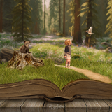 Summer Adventures Pop Up Book - Meg Bitton Productions