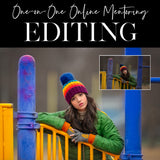 One-on-One Online Mentoring: Editing