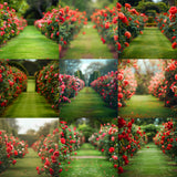 Ultimate Rose Path Background Bundle