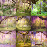 Wisteria Swing Background Bundle