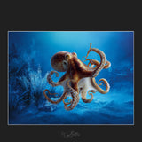 Magical Playful Octopus Overlays