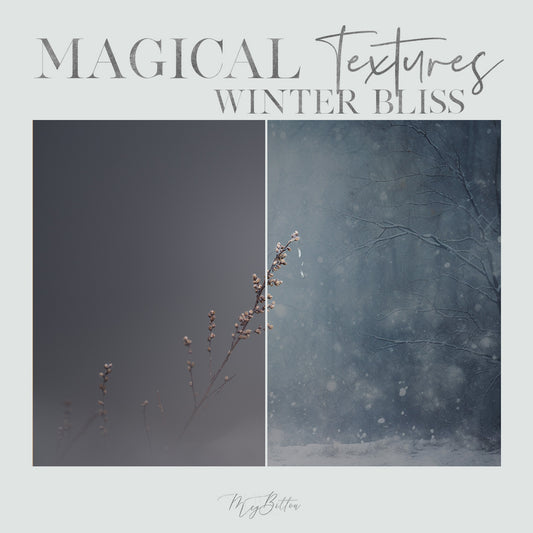 Magical Winter Bliss Textures - Meg Bitton Productions