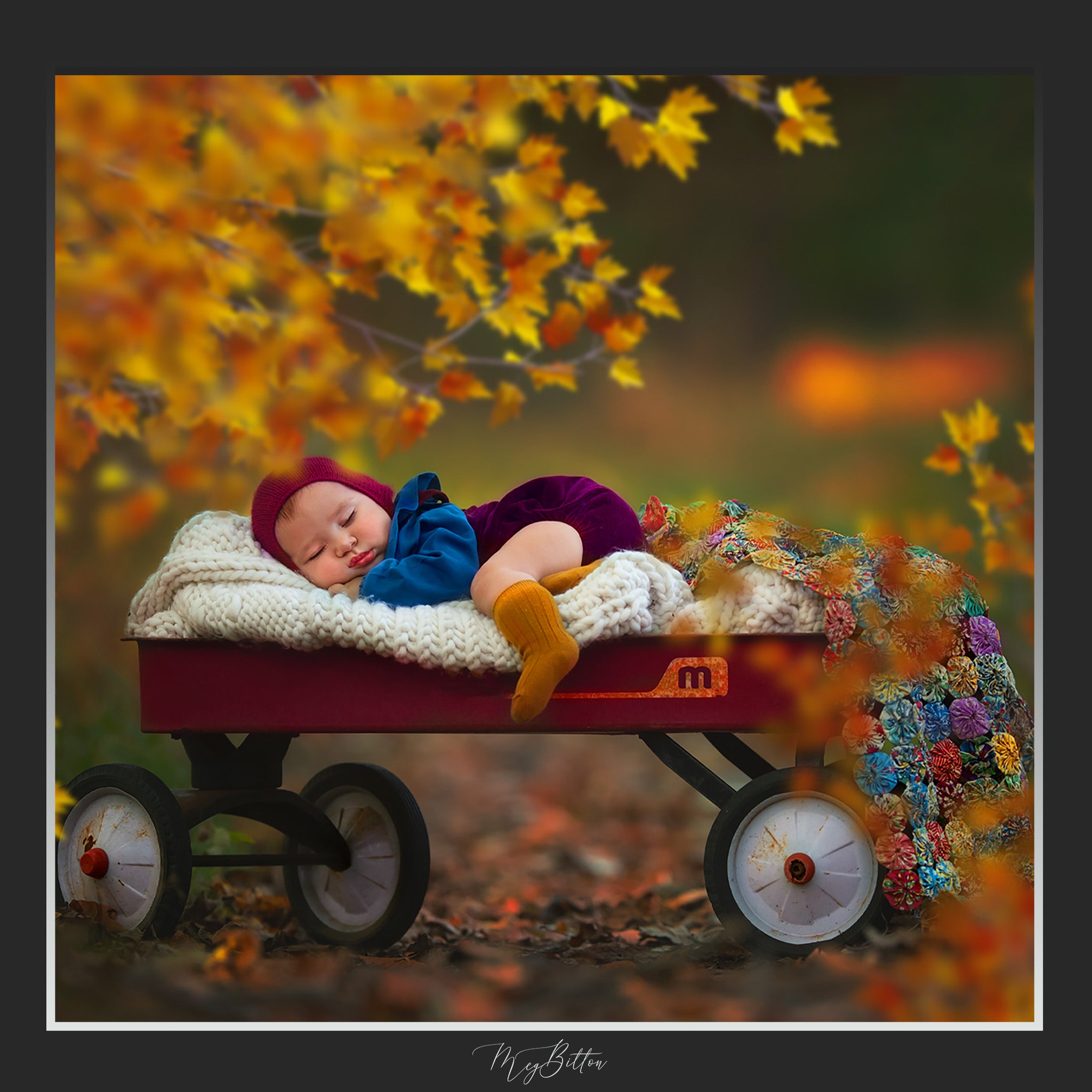 Magical Shoot Throughs-Creeping Autumn Branches - Meg Bitton Productions