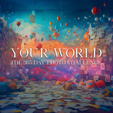 Your World: The 365 Day Photo Challenge
