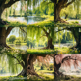 Relaxed Willow Background Bundle