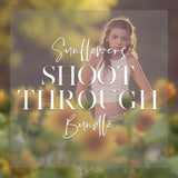 Sunflowers Shoot Through Bundle