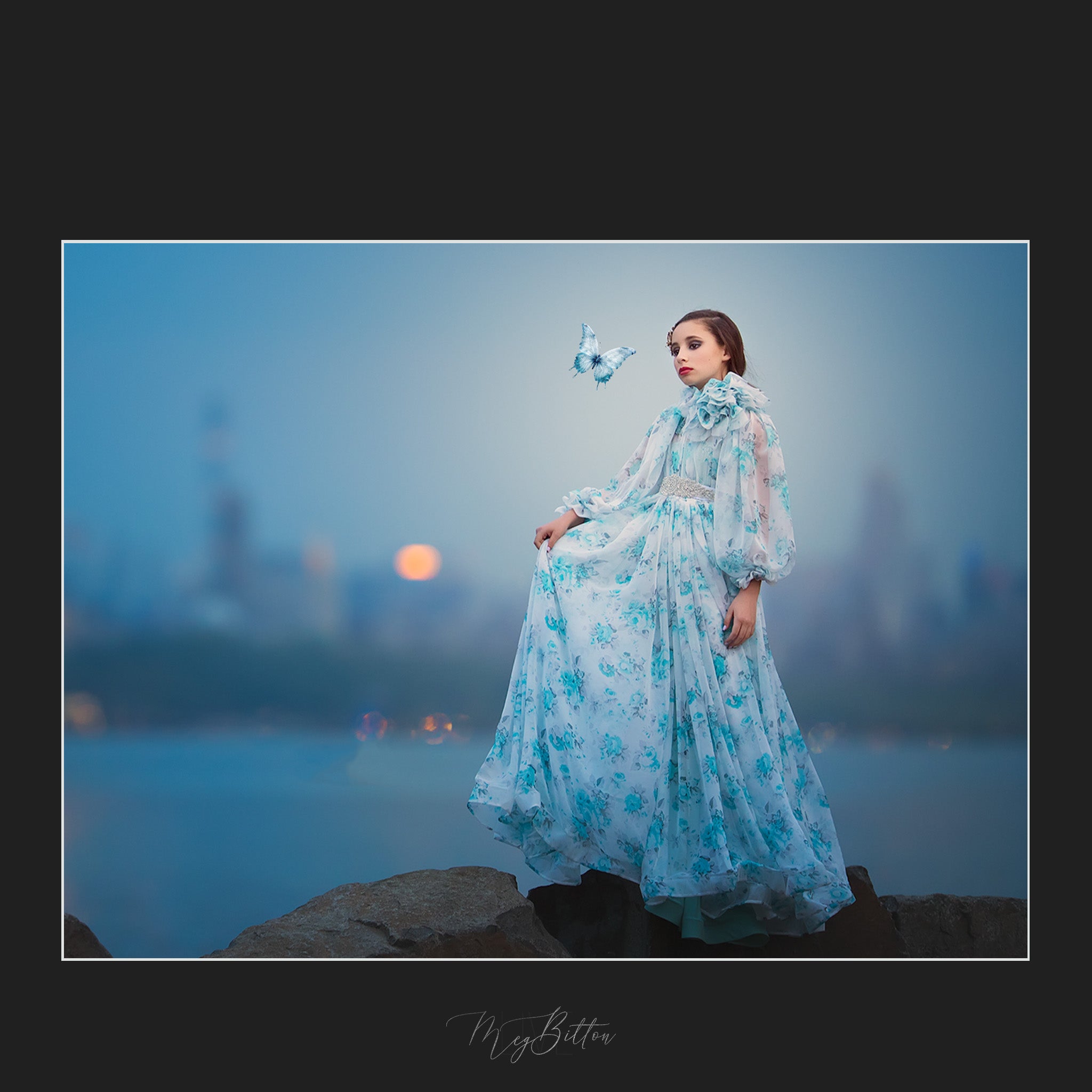 Winter Butterfly Overlays - Meg Bitton Productions