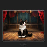 Magical Black & White Kitten Overlays