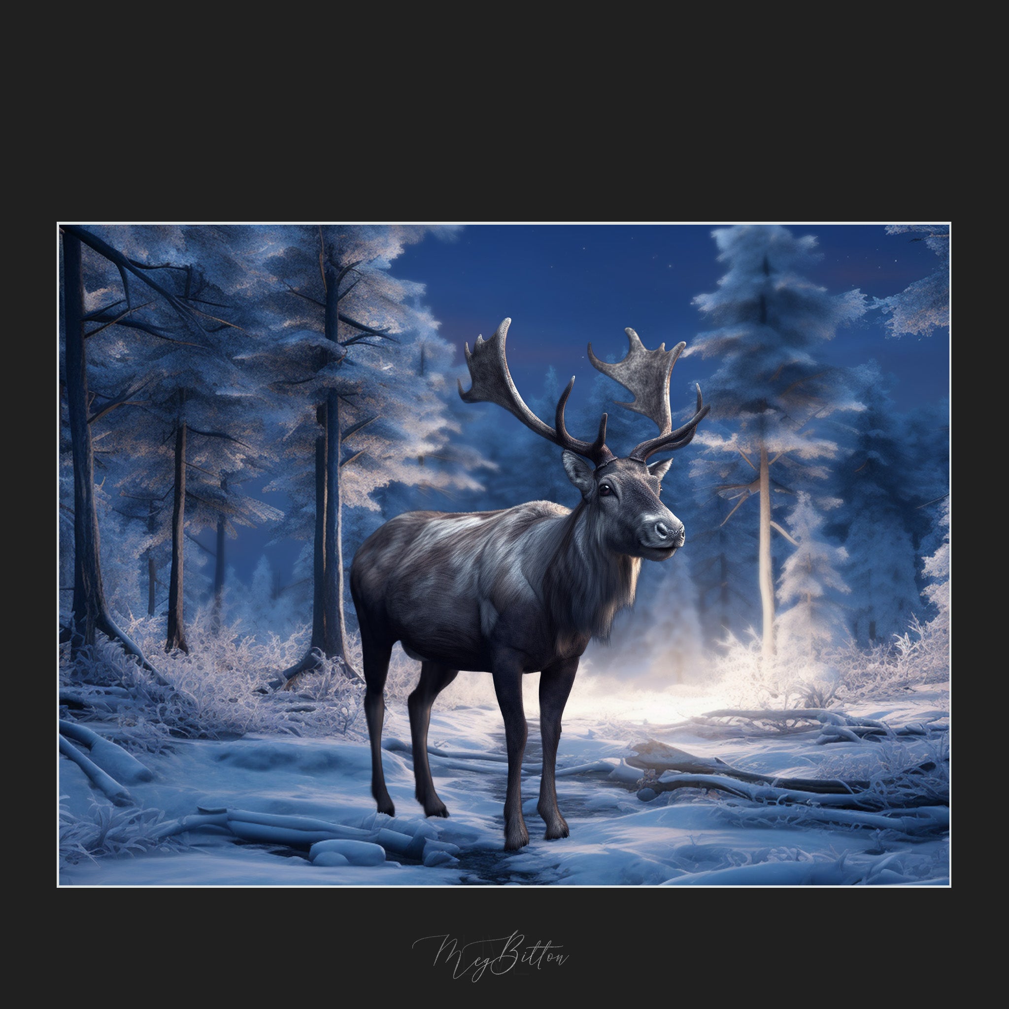 Magical Reindeer Overlays - Meg Bitton Productions