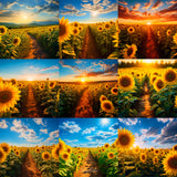 Ultimate Sunflower Path Background Bundle