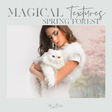 Magical Spring Forest Textures