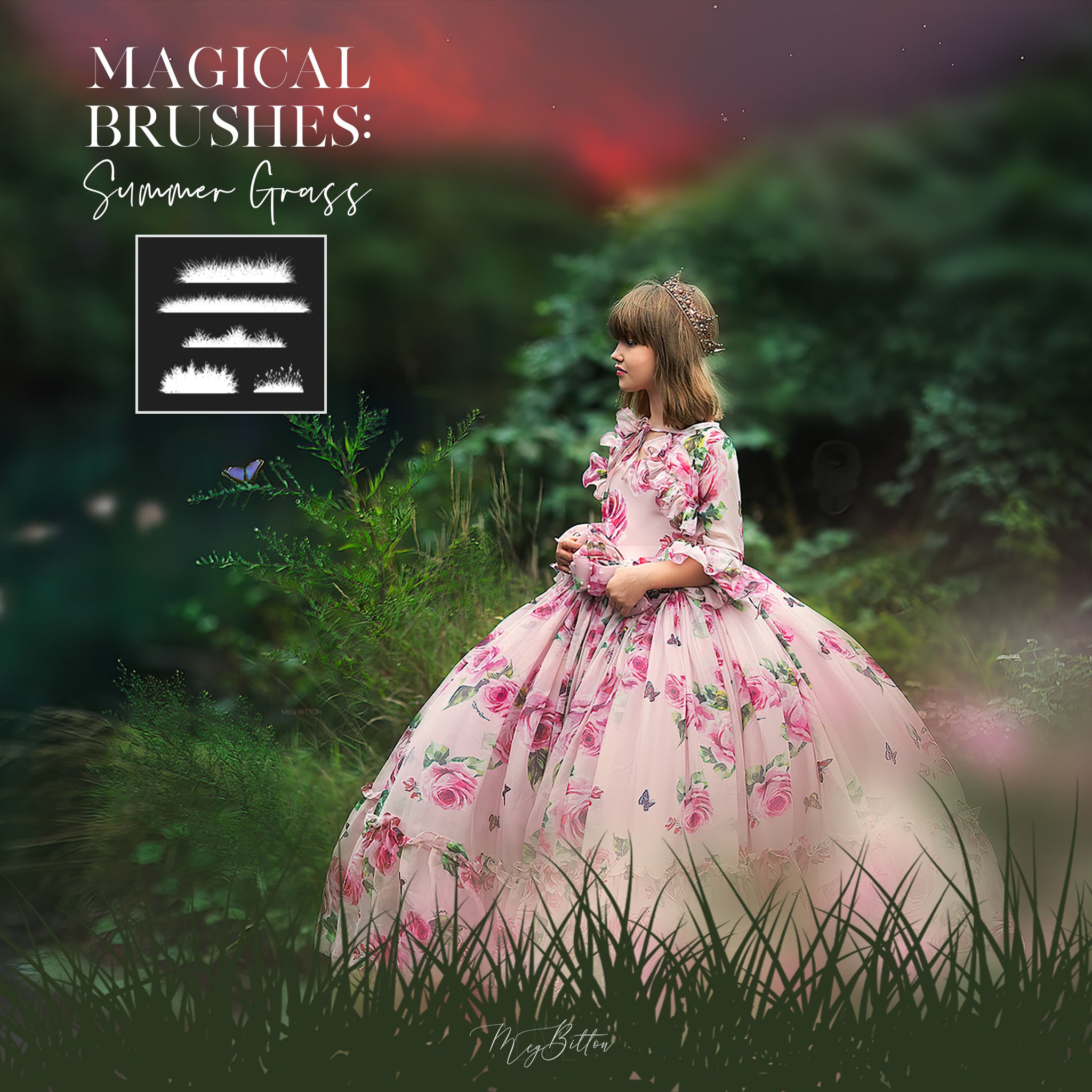 Magical Summer Grass Brush Set - Meg Bitton Productions
