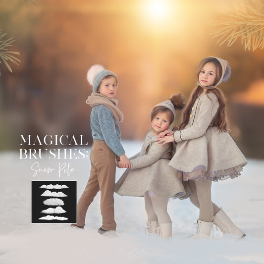 Magical Snow Pile Brushes - Meg Bitton Productions