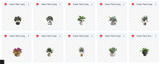Magical Indoor Plants - Meg Bitton Productions