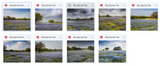 The Beautiful Landscape Background Bundle - Meg Bitton Productions