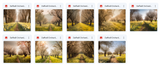 The Beautiful Landscape Background Bundle - Meg Bitton Productions