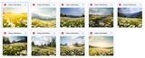 The Beautiful Landscape Background Bundle - Meg Bitton Productions