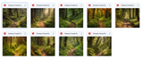 The Beautiful Landscape Background Bundle - Meg Bitton Productions