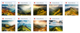 The Beautiful Landscape Background Bundle - Meg Bitton Productions