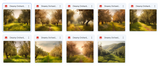 The Beautiful Landscape Background Bundle - Meg Bitton Productions