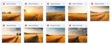 The Beautiful Landscape Background Bundle - Meg Bitton Productions