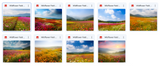 The Beautiful Landscape Background Bundle - Meg Bitton Productions